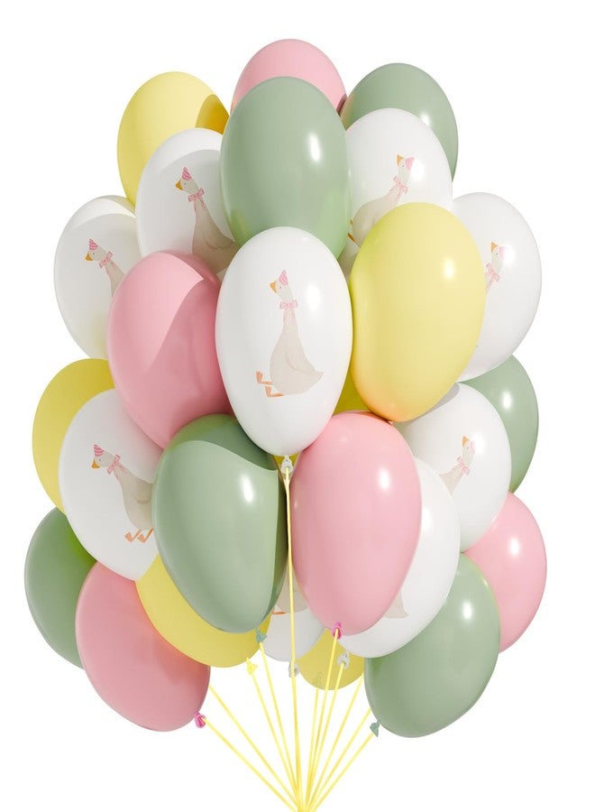 Motionchic 60 Pcs Bow Goose Balloons Set, 12 Inch Pastel Pink Latex Balloons One Silly Goose Birthday Party Decorations Baby Shower Decor(Pink) - Image 1